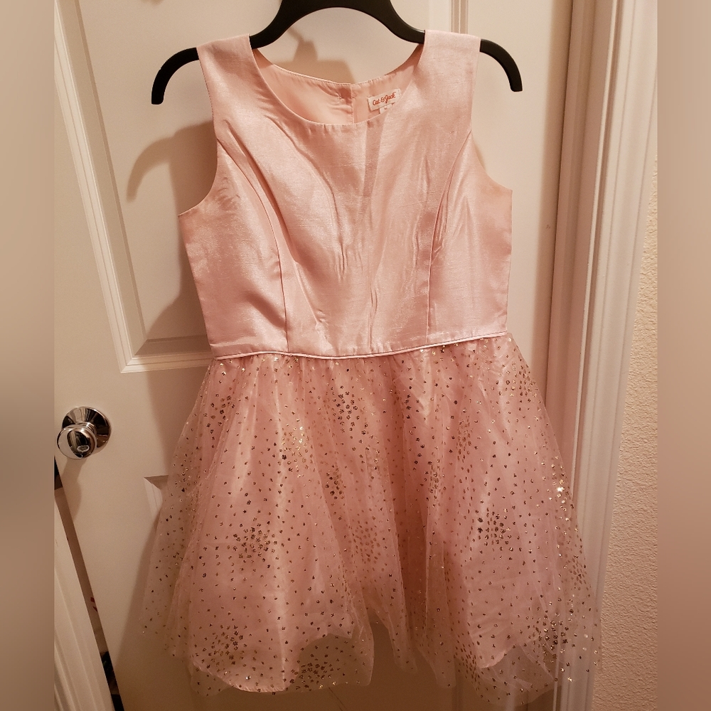 Girl's pink tulle party dress